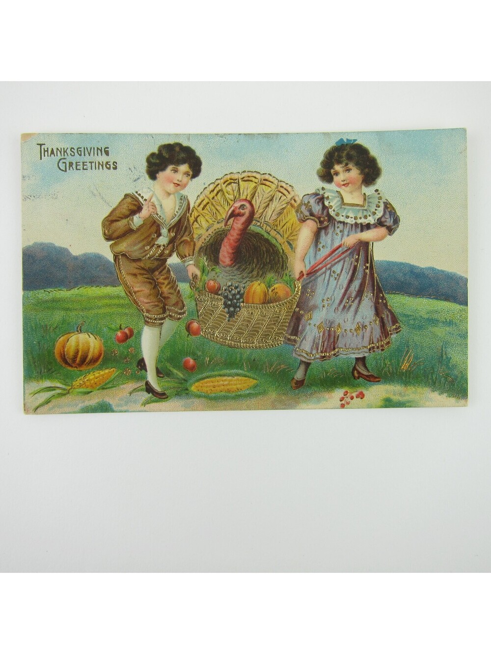 Thanksgiving Postcard Boy Basket Fruit & Wild Turkey Gold Embossed Antique 1913